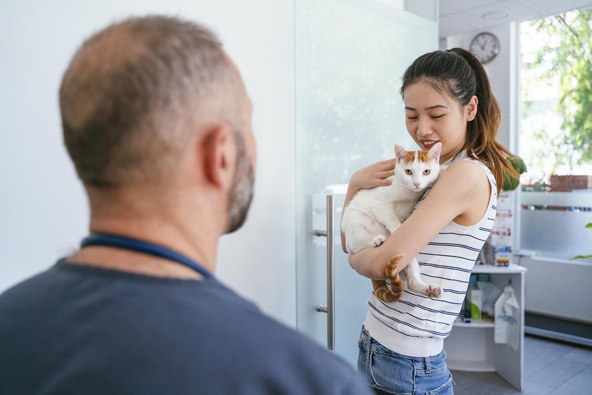 Schedule an Appointment Partners Animal Hospital West Loop