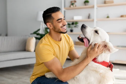 male-owner-playing-with-dog-at-home