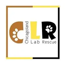 Chicagoland Lab Rescue Logo