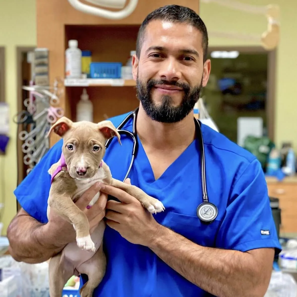 Dr Gerardo Hernandez With Puppy veterinarian and animal hospital west loop